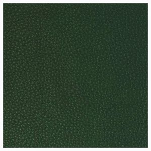 Leather - Irish Moss