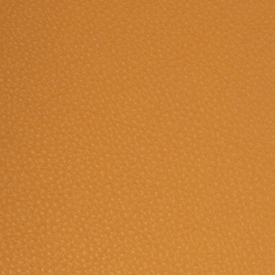 Butterscotch
