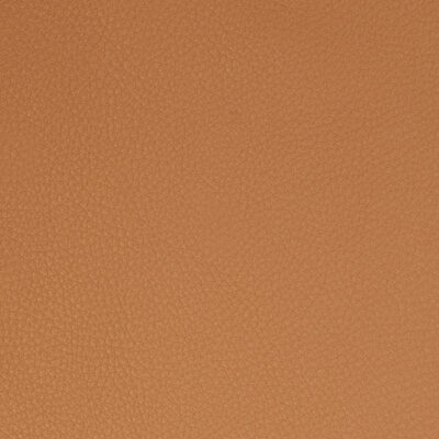 Camel Hair